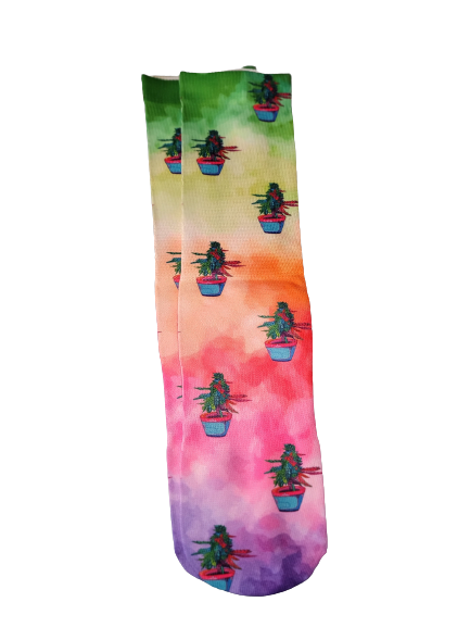 Weed Plant Socks