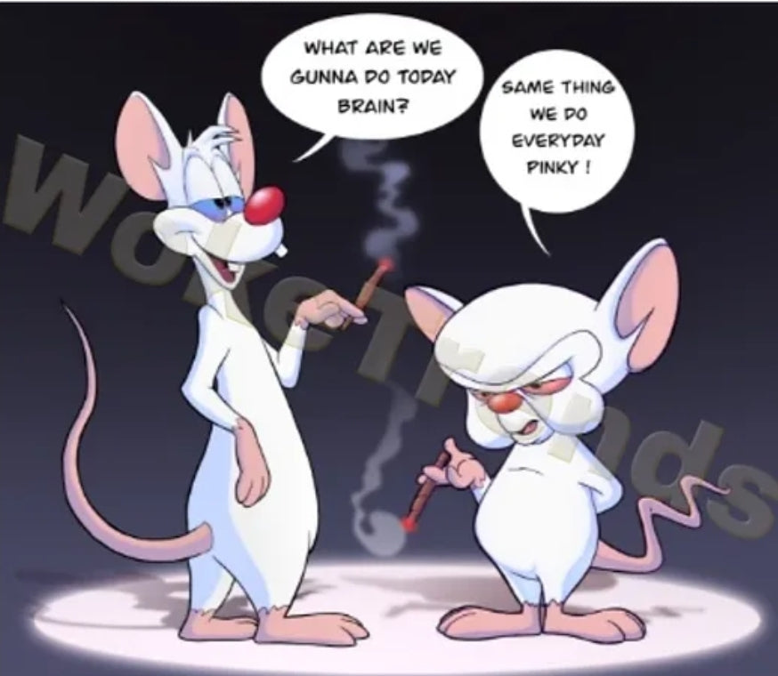 Pinky and the Brain