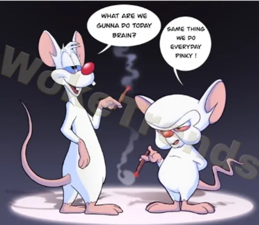 Pinky and the Brain